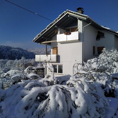 Blick Ins Wutachtal Lägenhet Wutoschingen Exteriör bild