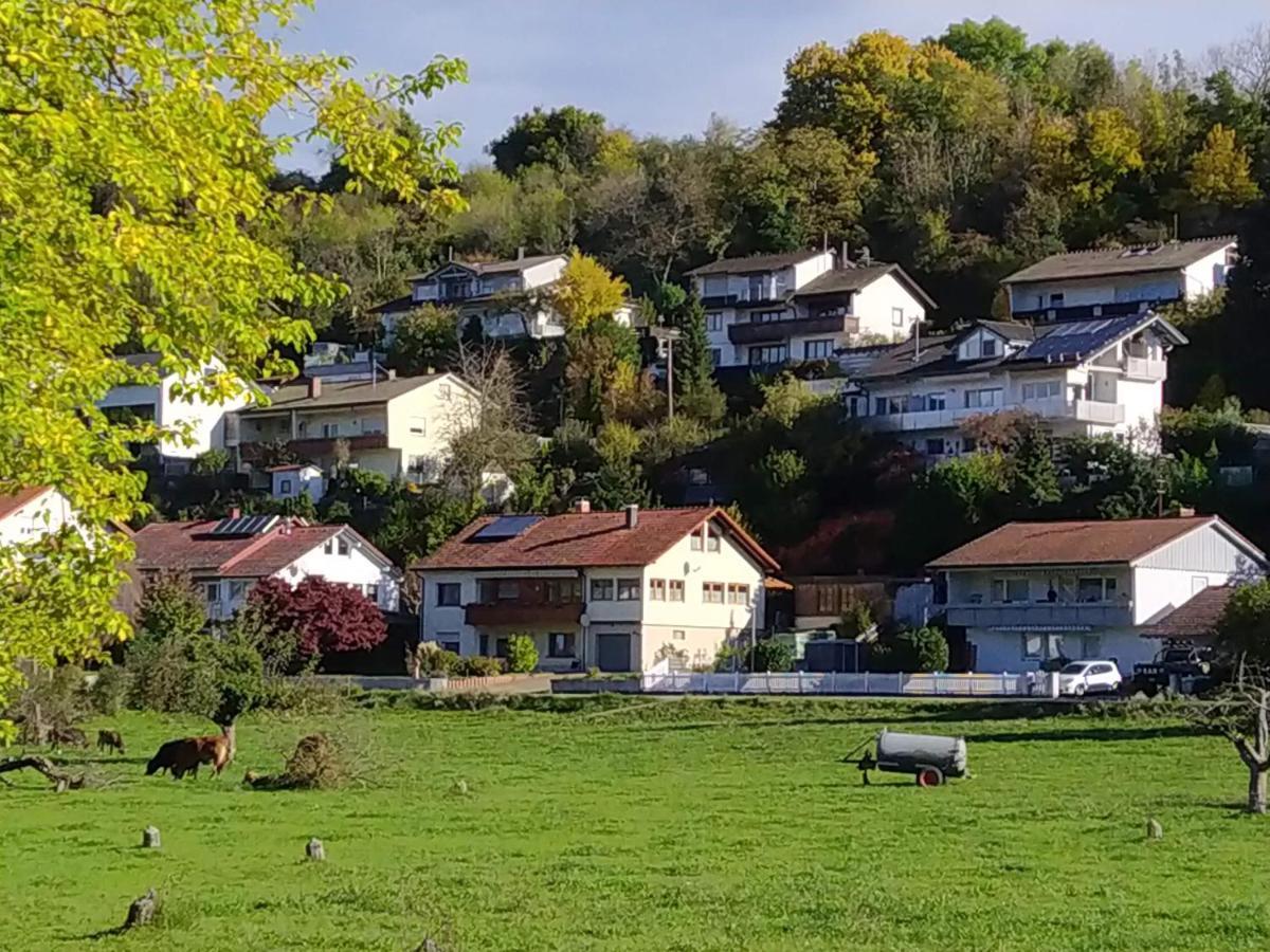 Blick Ins Wutachtal Lägenhet Wutoschingen Exteriör bild